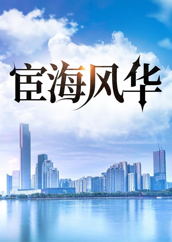宦海风云介绍