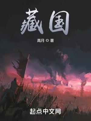 藏国百度百科