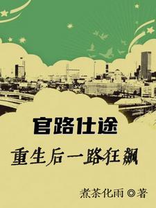 重生之官路途