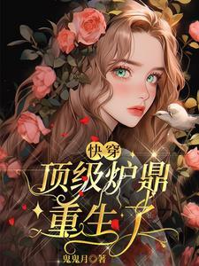 极品炉鼎