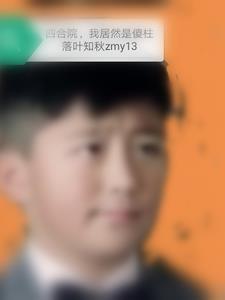 四合院我傻柱绝不结果
