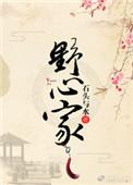 野心家孙綝技能