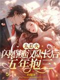 闪婚糙汉队长后五年抱三 向锦