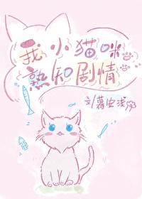 我的小猫呢