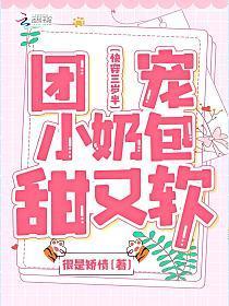 快穿三岁半团宠小奶包甜又软书评